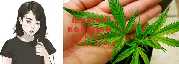 трава Наволоки