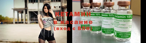 трава Наволоки