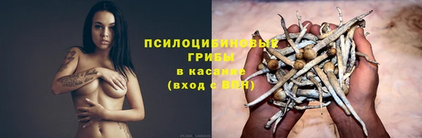 молекула духа Дубовка