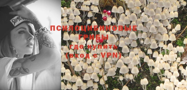 PSILOCYBIN Надым