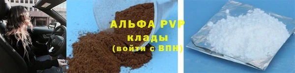 PSILOCYBIN Надым