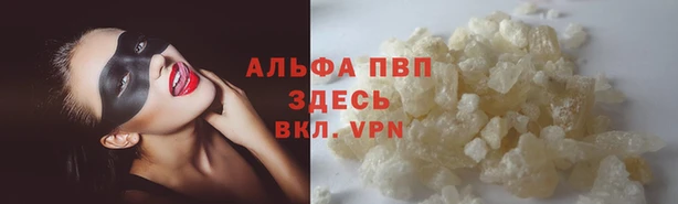 трава Наволоки